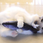 CAT KICKER FISH TOY