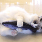 CAT KICKER FISH TOY